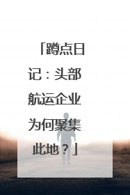 蹲点日记：头部航运企业为何聚集此地？