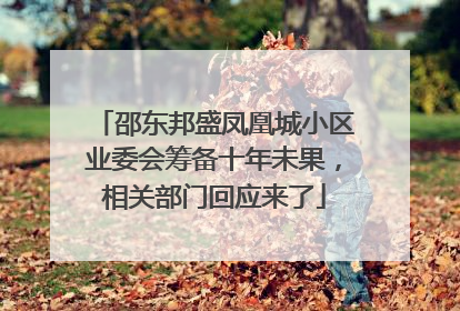 邵东邦盛凤凰城小区业委会筹备十年未果，相关部门回应来了