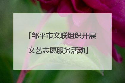 邹平市文联组织开展文艺志愿服务活动