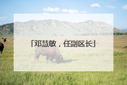 邓慧敏，任副区长