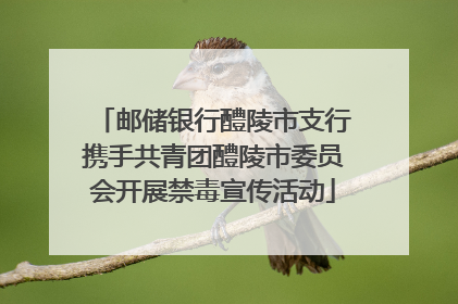 邮储银行醴陵市支行携手共青团醴陵市委员会开展禁毒宣传活动