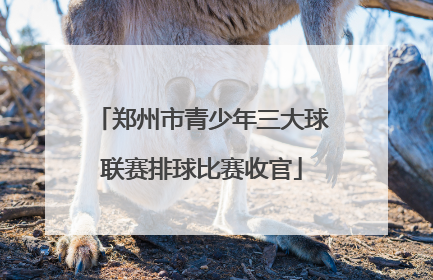 郑州市青少年三大球联赛排球比赛收官
