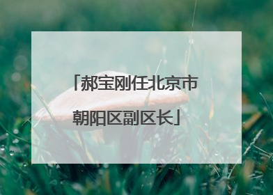 郝宝刚任北京市朝阳区副区长