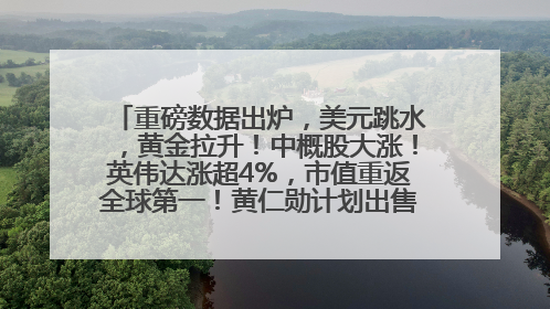 重磅数据出炉，美元跳水，黄金拉升！中概股大涨！英伟达涨超4%，市值重返全球第一！黄仁勋计划出售至多600万股股票