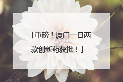 重磅！厦门一日两款创新药获批！