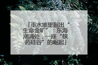 重水堆里掘出“生命金矿”：东海潮涌处，一座“核药硅谷”的崛起