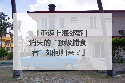 重返上海郊野｜消失的“顶级捕食者”如何归来？