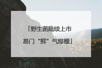 野生菌陆续上市 易门“鲜”气爆棚