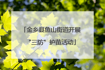 金乡县鱼山街道开展“三防”护苗活动