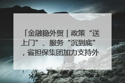 金融稳外贸｜政策“送上门”、服务“沉到底”，省担保集团加力支持外经贸高质量发展