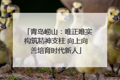 青岛崂山：唯正唯实构筑精神支柱 向上向善培育时代新人