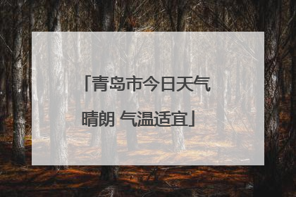 青岛市今日天气晴朗 气温适宜