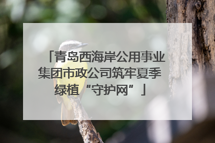 青岛西海岸公用事业集团市政公司筑牢夏季绿植“守护网”
