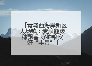 青岛西海岸新区大场镇：麦浪翻滚穗飘香 守护粮安好“丰景”