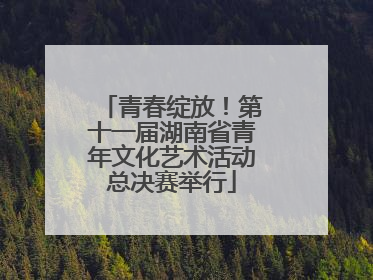 青春绽放！第十一届湖南省青年文化艺术活动总决赛举行
