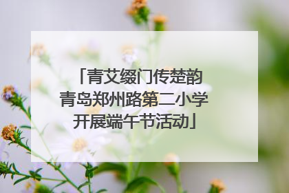 青艾缀门传楚韵 青岛郑州路第二小学开展端午节活动