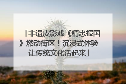 非遗皮影戏《精忠报国》燃动街区！沉浸式体验让传统文化活起来