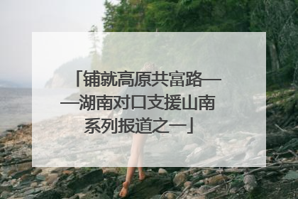 铺就高原共富路——湖南对口支援山南系列报道之一