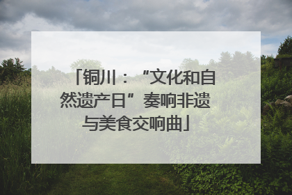 铜川：“文化和自然遗产日”奏响非遗与美食交响曲