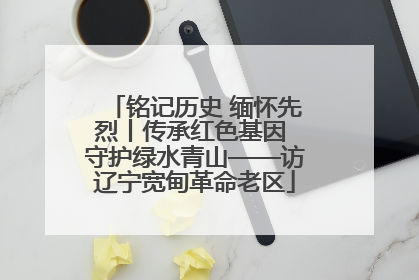 铭记历史 缅怀先烈丨传承红色基因 守护绿水青山——访辽宁宽甸革命老区
