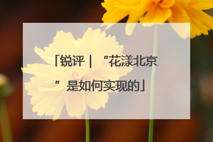 锐评｜“花漾北京”是如何实现的