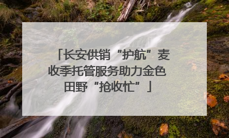长安供销“护航”麦收季托管服务助力金色田野“抢收忙”