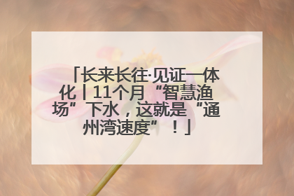 长来长往·见证一体化丨11个月“智慧渔场”下水，这就是“通州湾速度”！