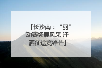 长沙南：“羽”动赛场展风采 汗洒征途竞锋芒