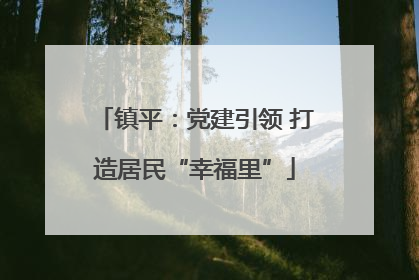 镇平：党建引领 打造居民“幸福里”