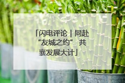 闪电评论｜同赴“友城之约” 共襄发展大计