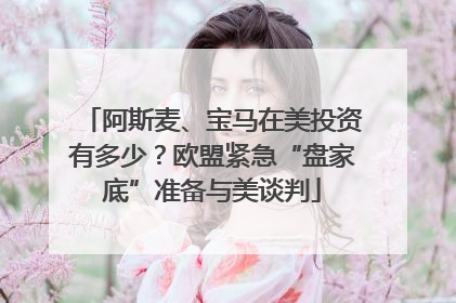 阿斯麦、宝马在美投资有多少？欧盟紧急“盘家底”准备与美谈判