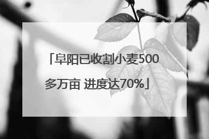 阜阳已收割小麦500多万亩 进度达70%