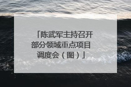 陈武军主持召开部分领域重点项目调度会（图）
