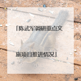陈武军调研重点文旅项目推进情况