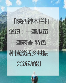 陕西神木栏杆堡镇：一垄瓜苗一垄药香 特色种植激活乡村振兴新动能