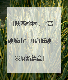 陕西榆林：“高碳城市”开启低碳发展新篇章