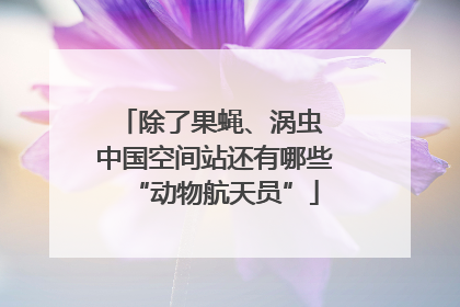 除了果蝇、涡虫 中国空间站还有哪些“动物航天员”