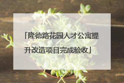 隆德路花园人才公寓提升改造项目完成验收