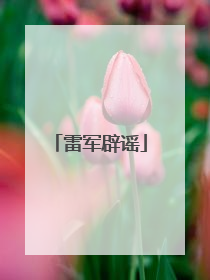 雷军辟谣
