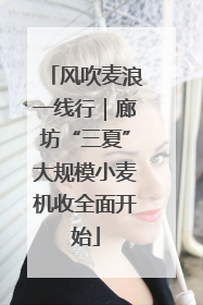 风吹麦浪一线行｜廊坊“三夏”大规模小麦机收全面开始