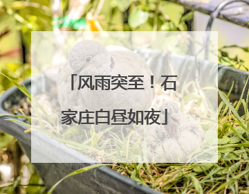 风雨突至！石家庄白昼如夜