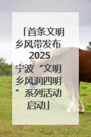 首条文明乡风带发布 2025宁波“文明乡风润四明”系列活动启动