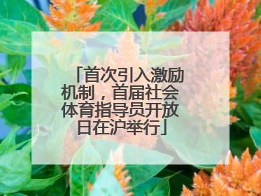 首次引入激励机制，首届社会体育指导员开放日在沪举行