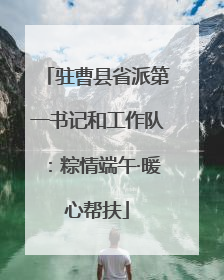驻曹县省派第一书记和工作队：粽情端午·暖心帮扶