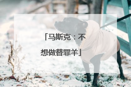 马斯克：不想做替罪羊