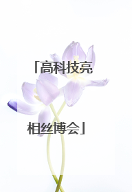 高科技亮相丝博会