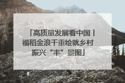 高质量发展看中国丨福稻金浪千重绘就乡村振兴“丰”景图