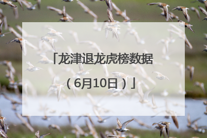 龙津退龙虎榜数据（6月10日）