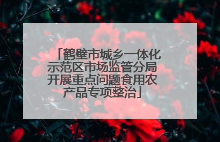 鹤壁市城乡一体化示范区市场监管分局开展重点问题食用农产品专项整治