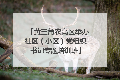 黄三角农高区举办社区（小区）党组织书记专题培训班